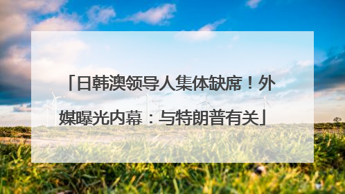 日韩澳领导人集体缺席！外媒曝光内幕：与特朗普有关